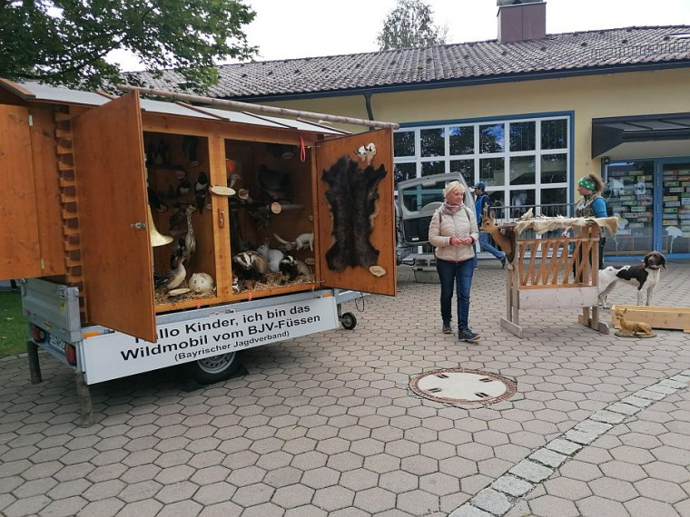 Verschiedenste Wildtierarten - und quirlige Frettchen