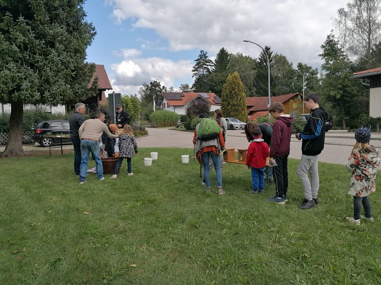 Tannenzapfenwurfspiel