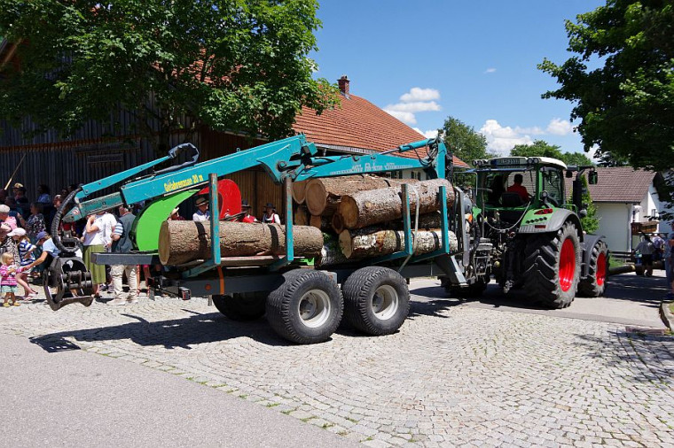 Aktionstag 2008 - Holzverarbeitung früher und heute - Rückewagen